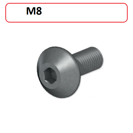 M8 x 1  TPKN 22.. Baskı Vidası