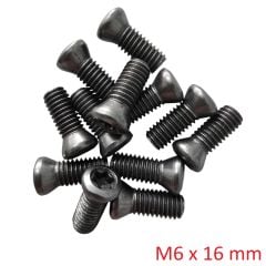 M6 x 16 Kater Civatası Torx Uçlu