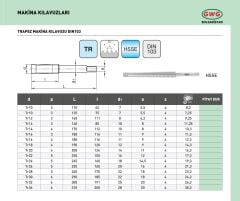 Tr24 x 5 Trapez Diş Kılavuz