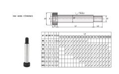 M16 x 20 x 60 Yay Ayar Civatası