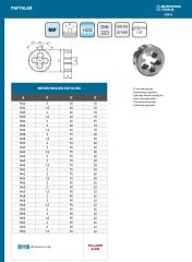 M38 x 2 Pafta Lokması