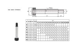 M6 x 8 x 100 Yay Ayar Civatası