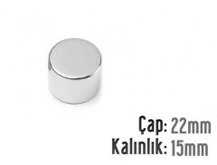 Ø22 x 15 mm Neodyum Mıknatıs