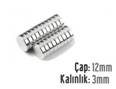 Ø12 x 3 mm Neodyum Mıknatıs