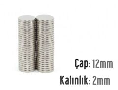 Ø12 x 2 mm Neodyum Mıknatıs