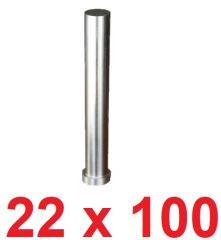 Ø22 x 100 mm Silindir Başlı Delme Zımbası