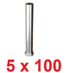 Ø5 x 100 mm Silindir Başlı Delme Zımbası