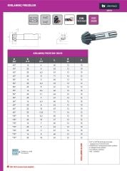 16 x 60 Derece Kırlangıç Freze DIN 1833 B