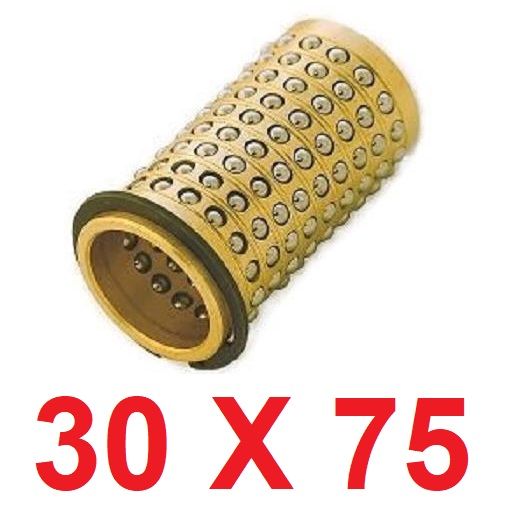 30 x 75 Bilyalı Kafes