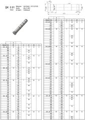 25 x 100 Şapkalı Kolon