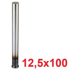 12,5 x 100 Havşa Başlı İtici Pim