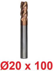Ø20 x 100 mm Karbür Freze Düz